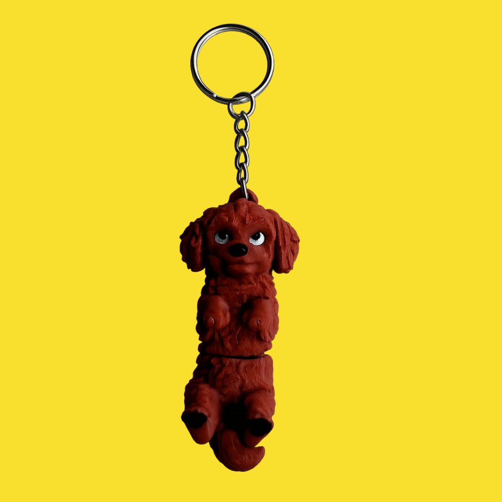 Cavapoo