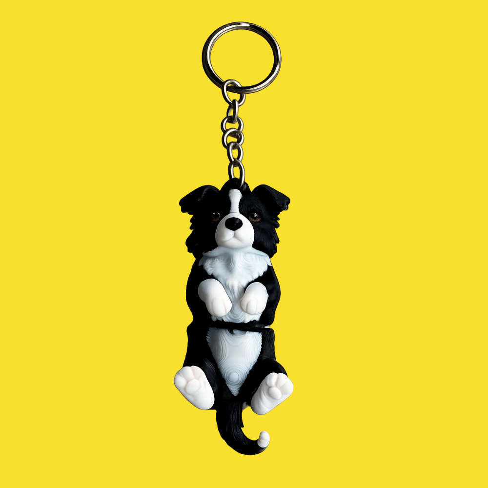 Border collie